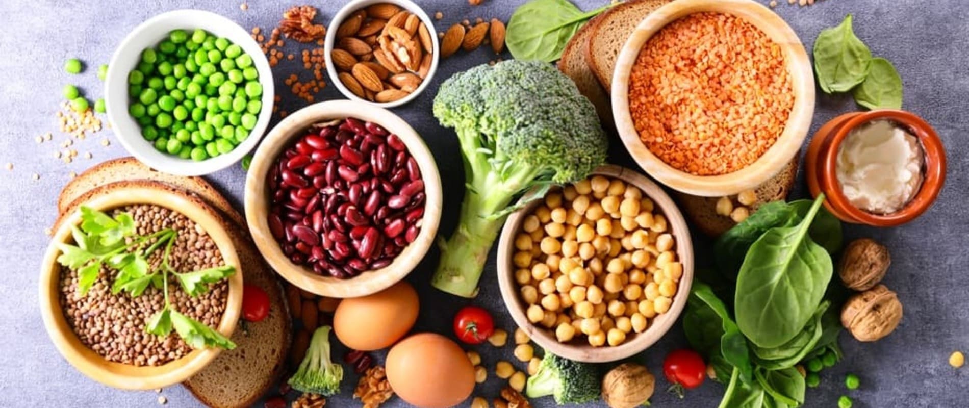 Como substituir proteína animal