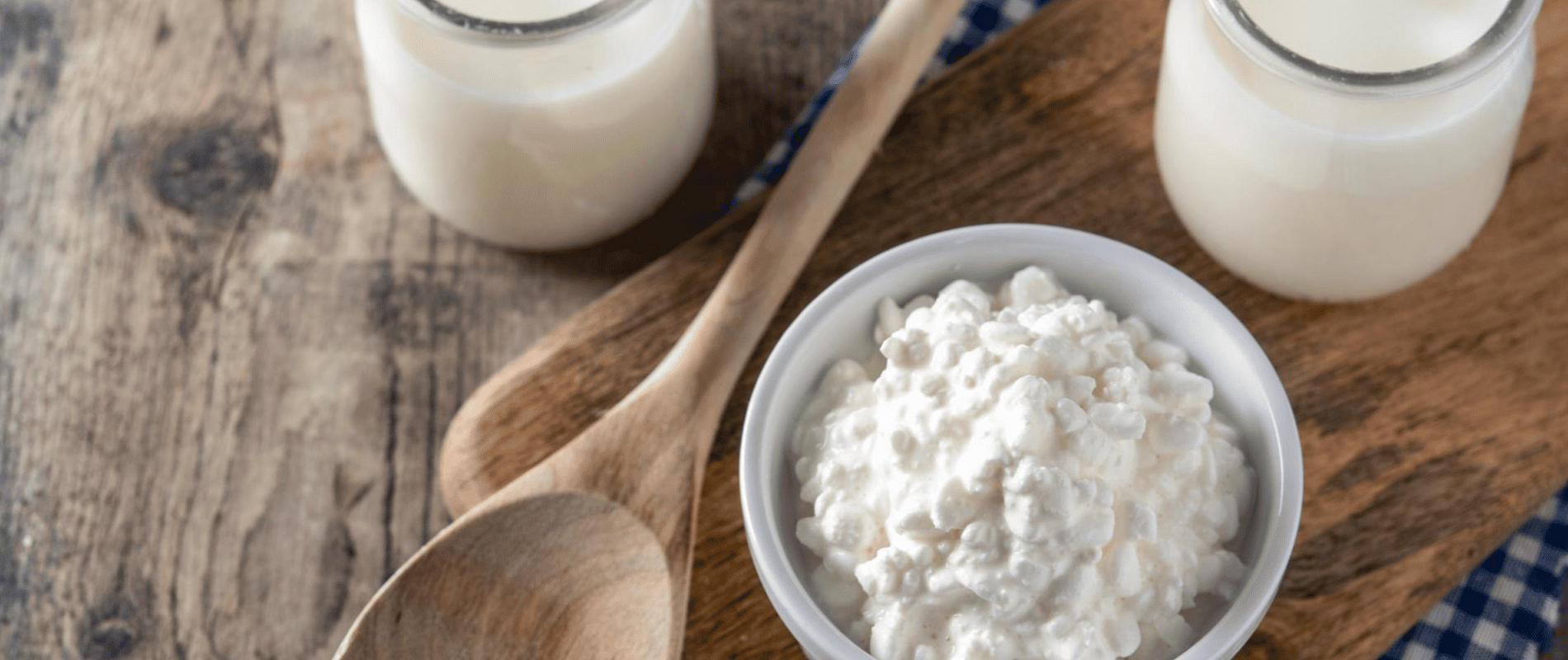 Probiótico Vegano Existe